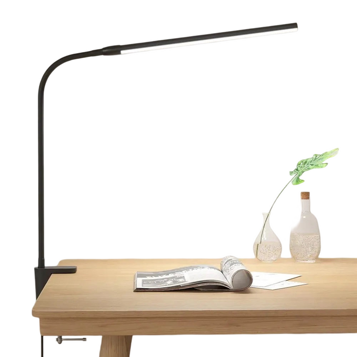 Dual Head LED Desk Lamp